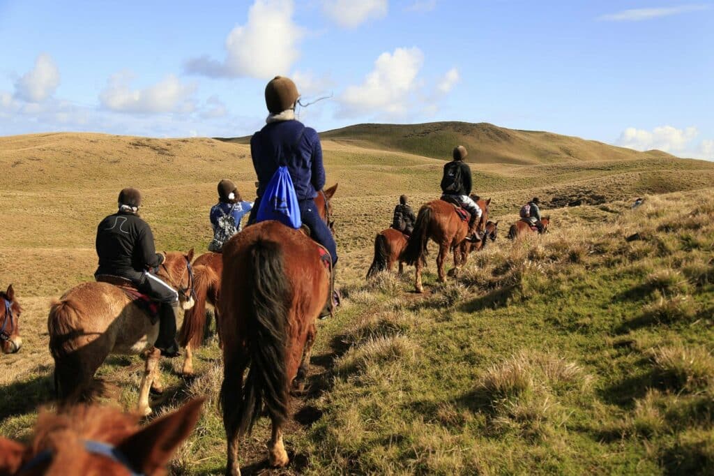 Horseback Riding In Rapa Nui Easter Island